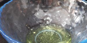 un bol transparente con claras de huevo