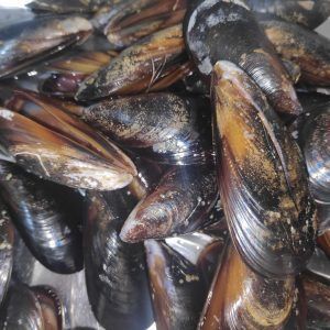 mejillones