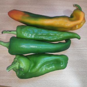 cuatro pimientos verdes crudos