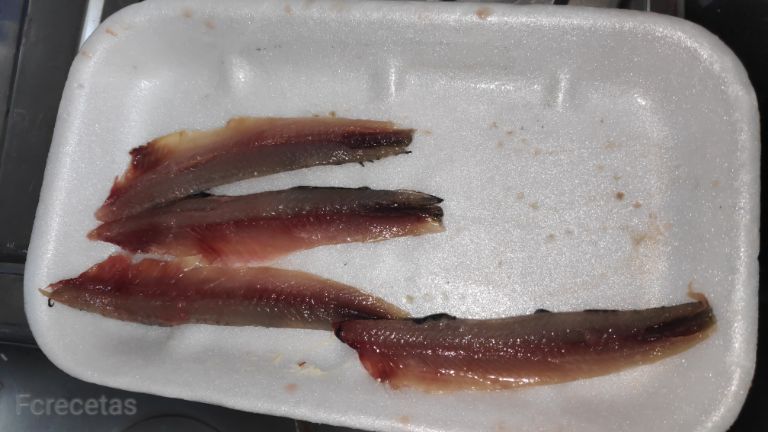 quatre filets de seitó nets