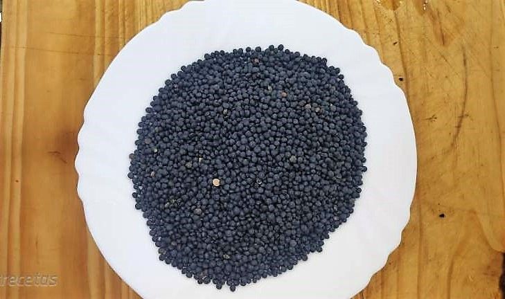 lenteja beluga en un plato