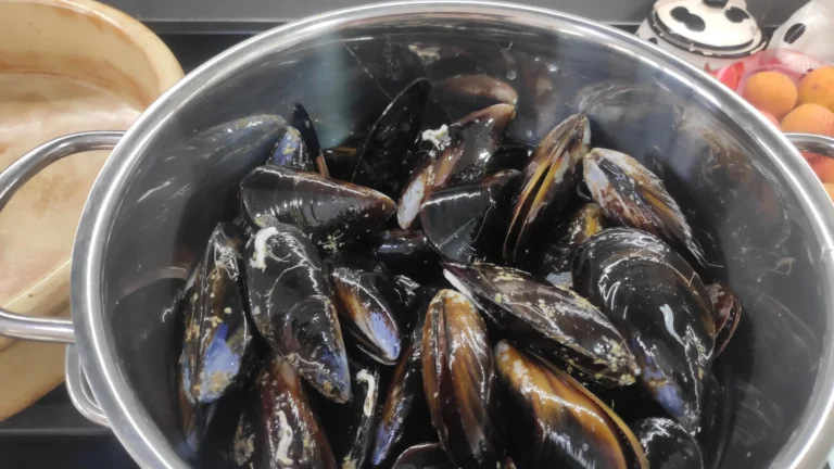 musclos al vapor per preparar la sarsuela de peix i marisc